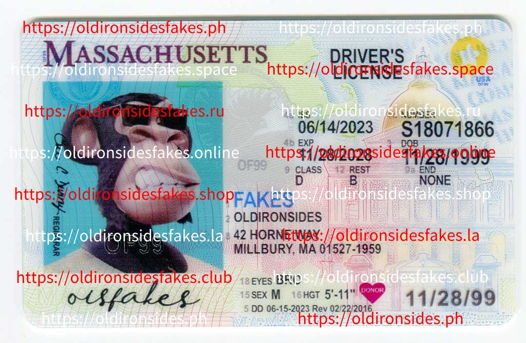 Massachusetts (New MA O21)
