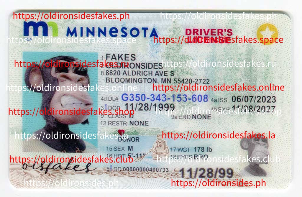 Minnesota (New MN)